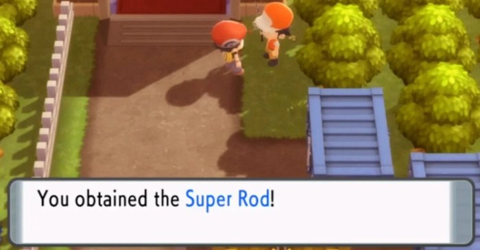 Pokemon silver super rod