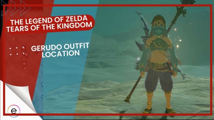 Link vai gerudo style disguised breath wild zelda legend