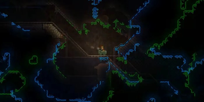 Terraria best mage build