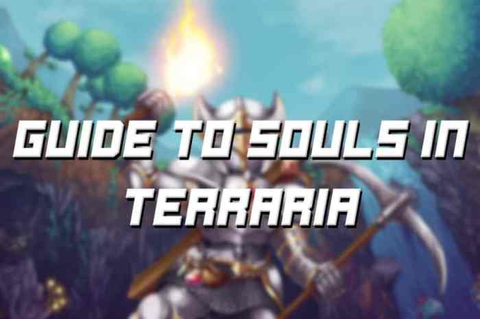 Souls of might terraria