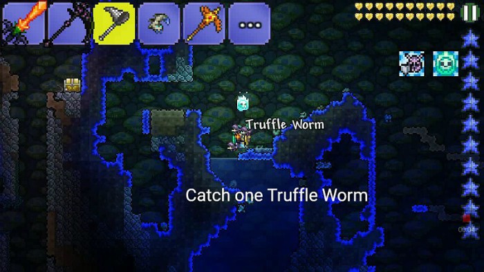 How to get truffle worm