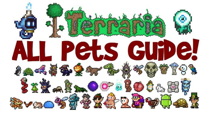 How to get pets terraria