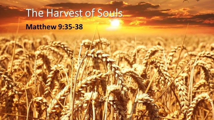 Harvest for lost souls