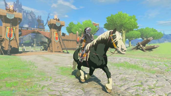 Horse zelda glitches