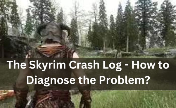 Skyrim crash on save