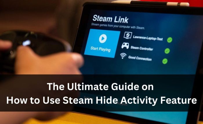 Steam activity hide game invisible make mobygeek they doing users friends many want their may