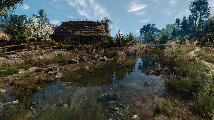 Witcher 3 water essence