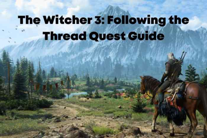 Witcher 3 failed quest