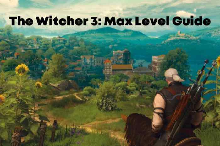 Max lvl in witcher 3