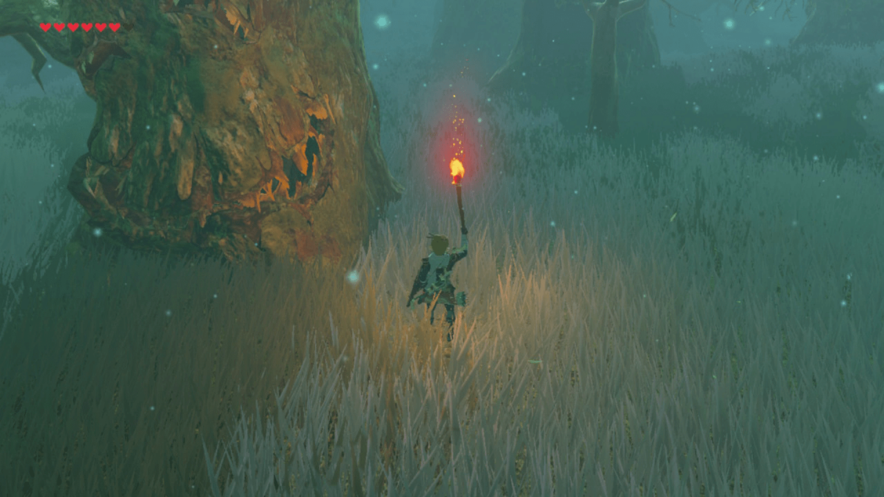 Botw where to get a torch