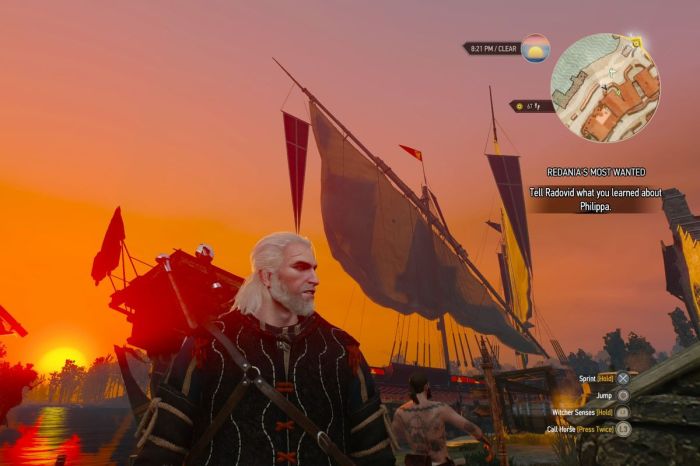 Witcher geralt beard rivia