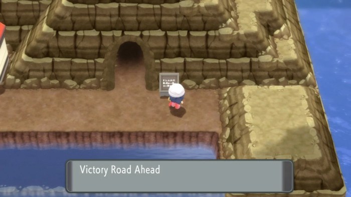 Victory road pokemon