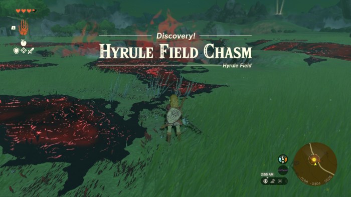 Hyrule field chasm map