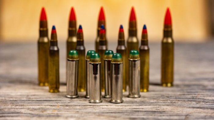Tracer bullet ammo 22 lr 22lr bullets rds architect purpose calibers refer ensure depict actual exact packaging order please description