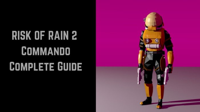 Risk of rain commando