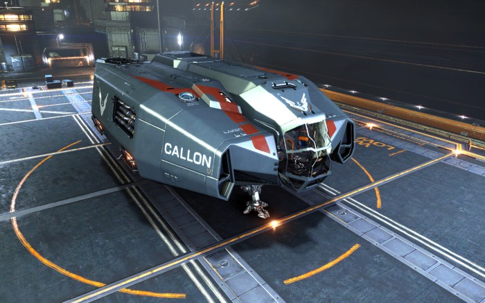 Type 6 elite dangerous