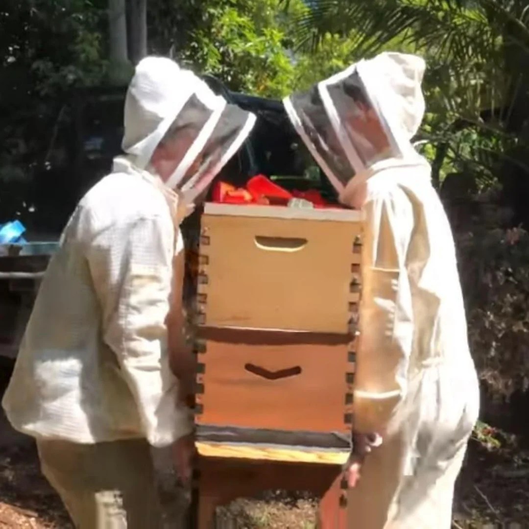 How to move bee hive