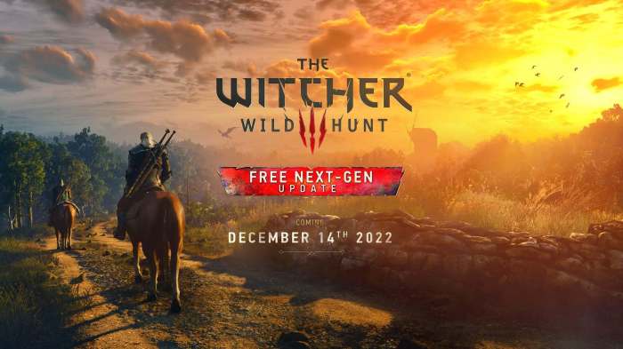 Witcher codes