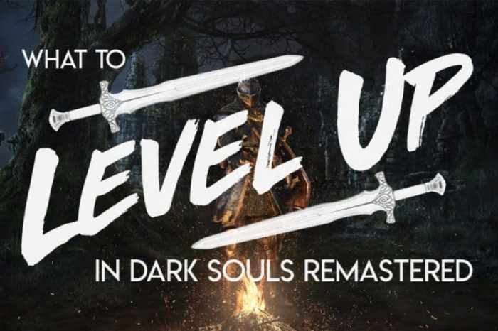 Dark souls 2 leveling up