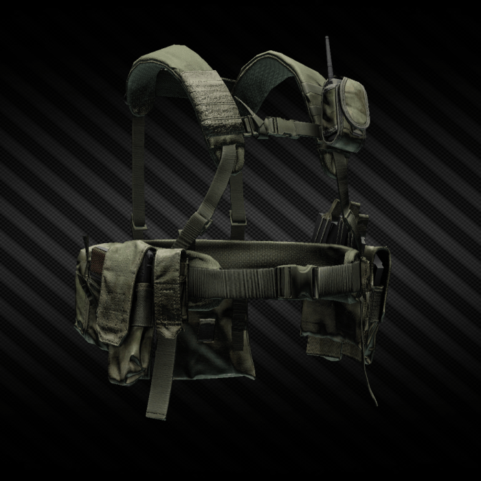 Best tactical rig tarkov