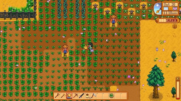 Gold water can stardew