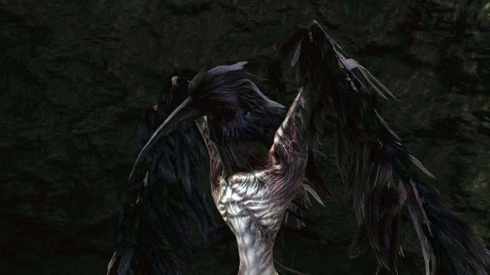 Dark souls 2 ornifex