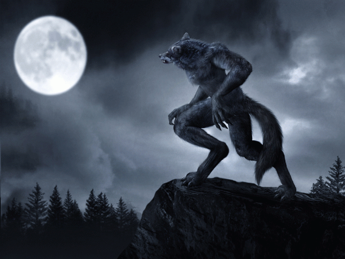 Werewolf in the dark