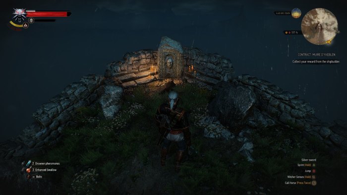 Witcher glitch