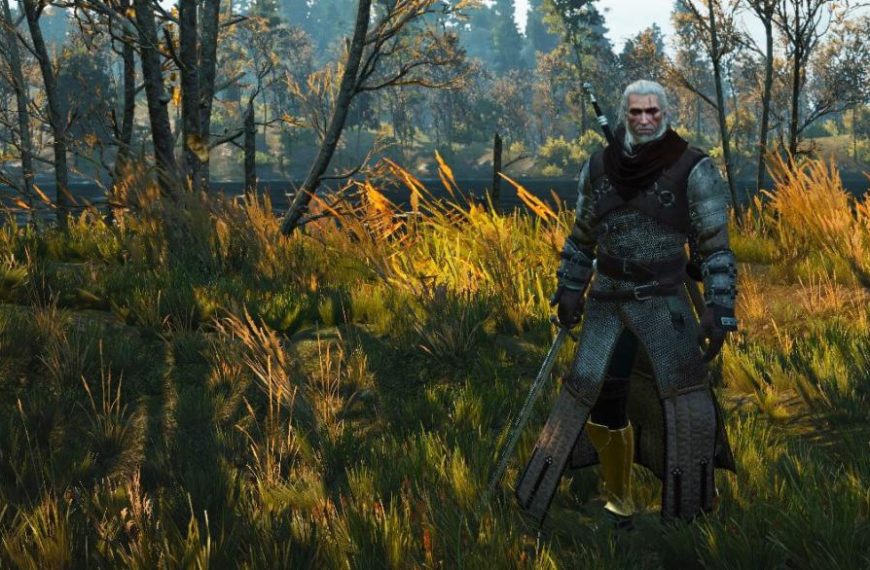 Witcher 3 ursine build