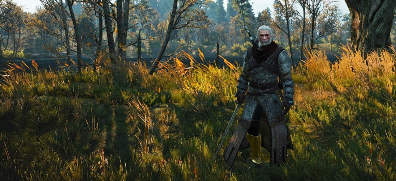 Witcher 3 ursine build