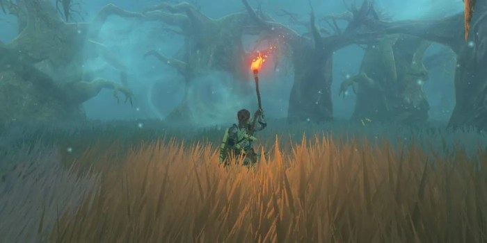 Botw where to get a torch