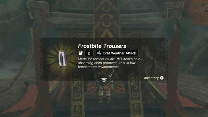 Botw cold resist armor