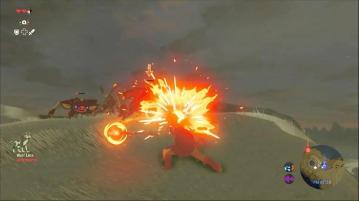 Zelda botw fire rod