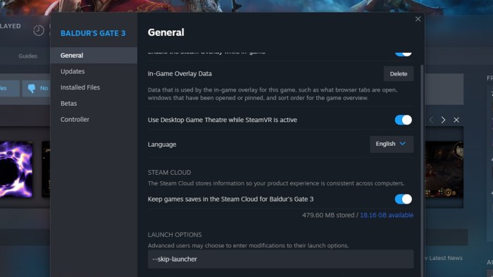 Baldur's gate 3 launcher