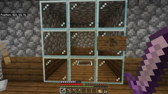 Glass panes in minecraft