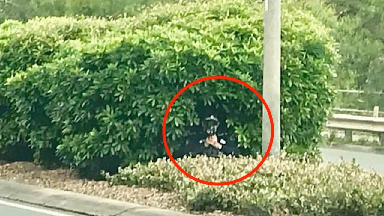 Cops hiding in bushes