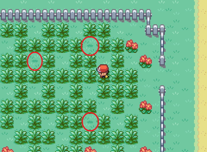 Fire red hidden items