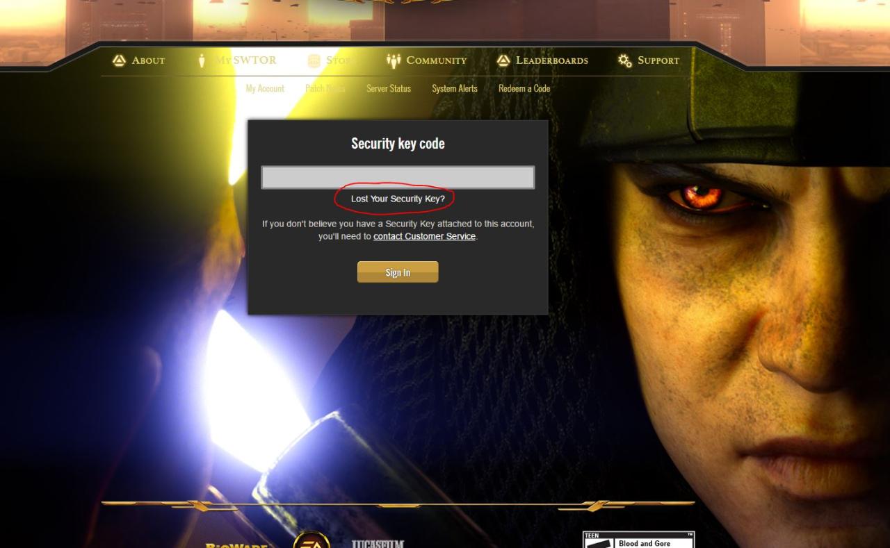 Swtor security key app