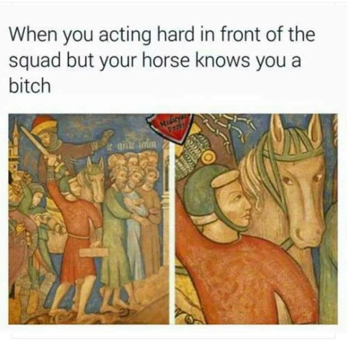 I don't get it horse