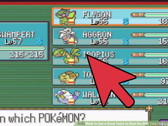 Pokemon ruby elite four