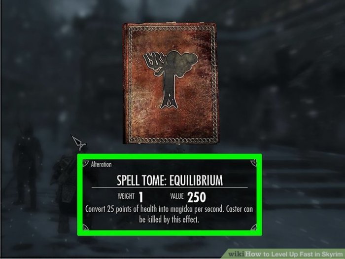 Skyrim cant level up