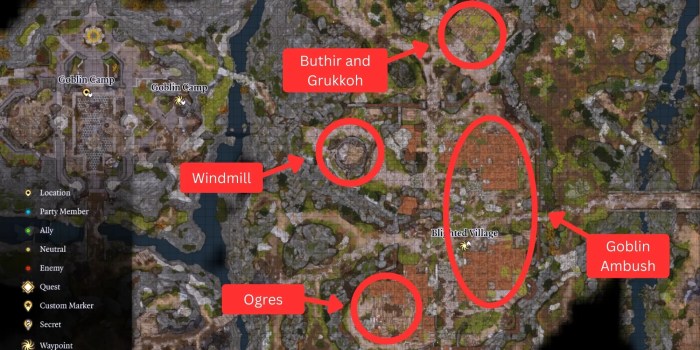 Blighted village bg3 map