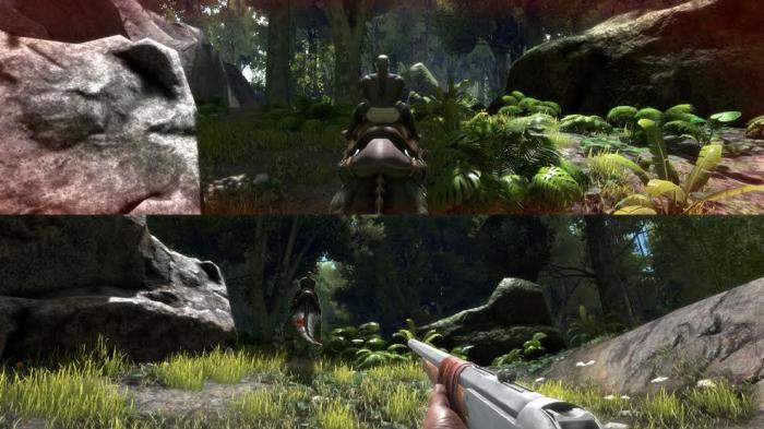 Ark split screen ps4