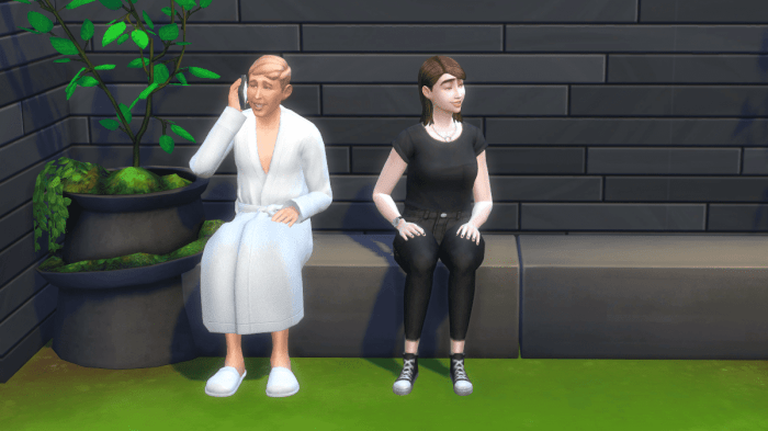 Sims invite modthesims mods