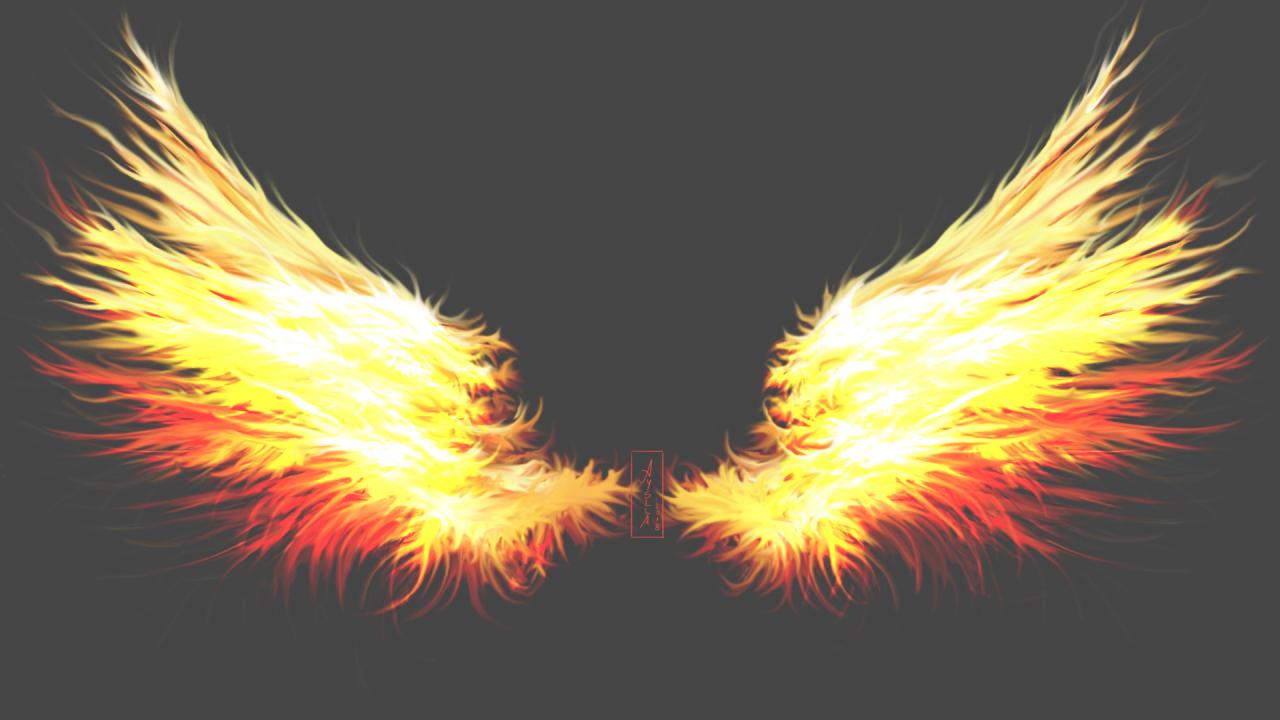 Flame wings of fire