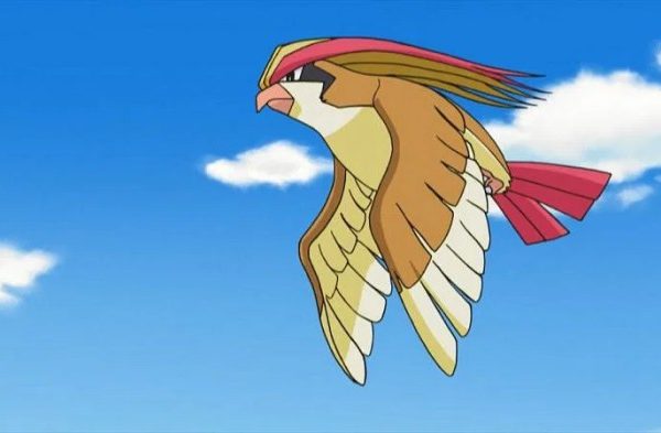 Pokemon pidgeot original pokedex pigeot pidgey pidgeotto generation swick stream thought matchup her type eagle