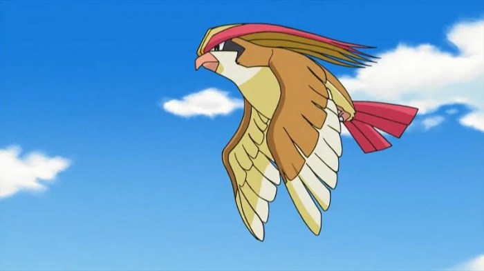 Pokemon pidgeot original pokedex pigeot pidgey pidgeotto generation swick stream thought matchup her type eagle