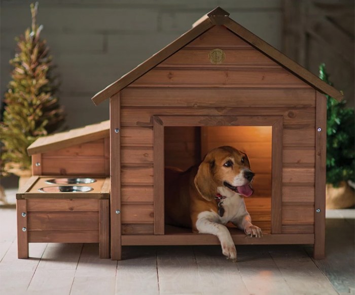 Dog house inside house