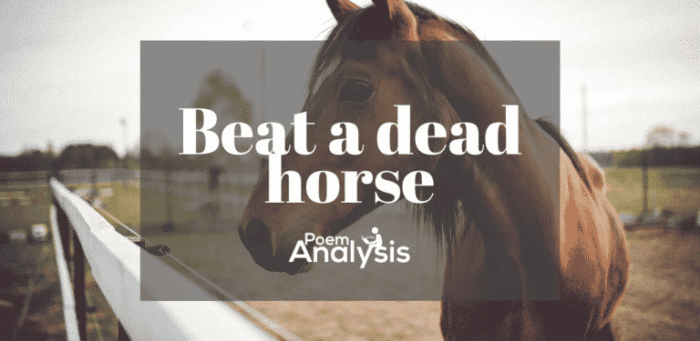 Dont saddle a dead horse