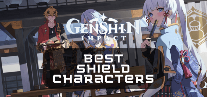 Genshin shield